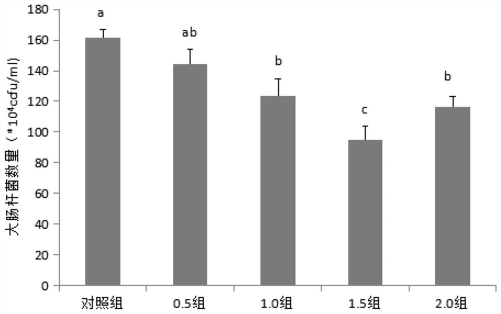 Chinese herbal medicine immunopotentiator for groupers as well as preparation method and application of Chinese herbal medicine immunopotentiator