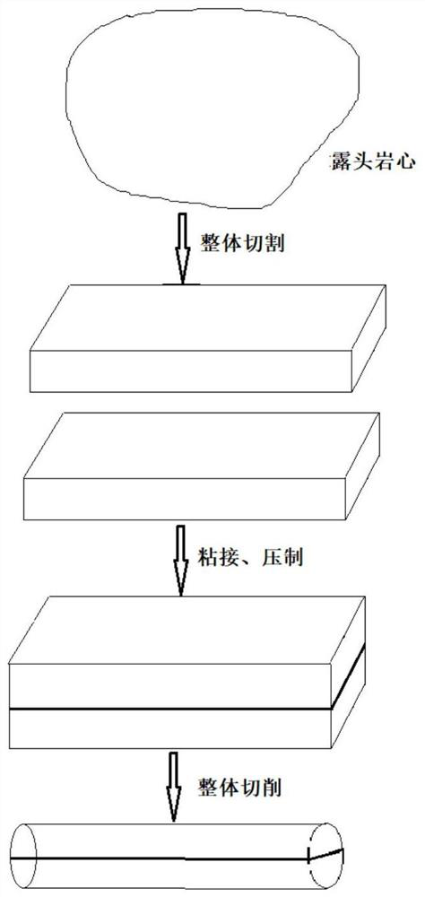 Heterogeneous core model and preparation method thereof