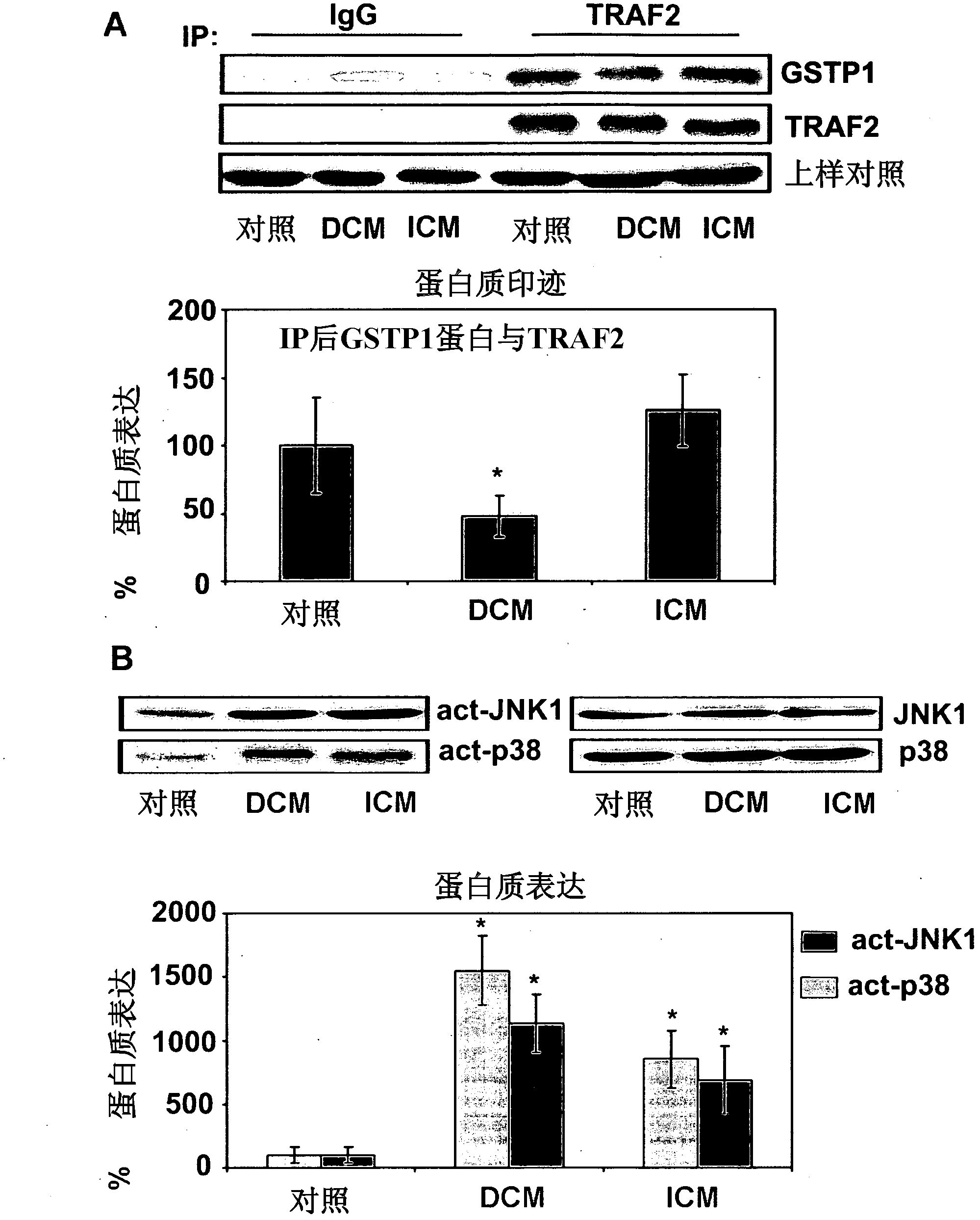 Use of GSTP1