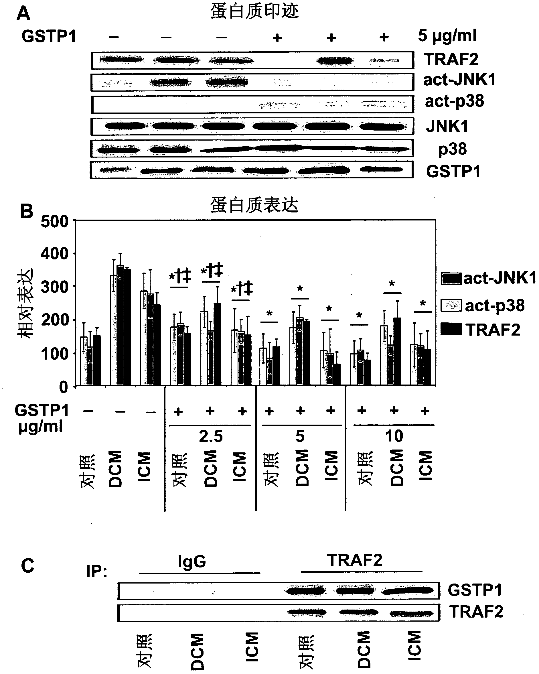 Use of GSTP1