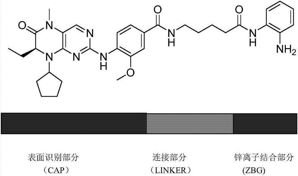 BET (bromodomain and extraterminal domain)/HDAC (histone deacetylase) double-target inhibitor, and preparation method and application thereof