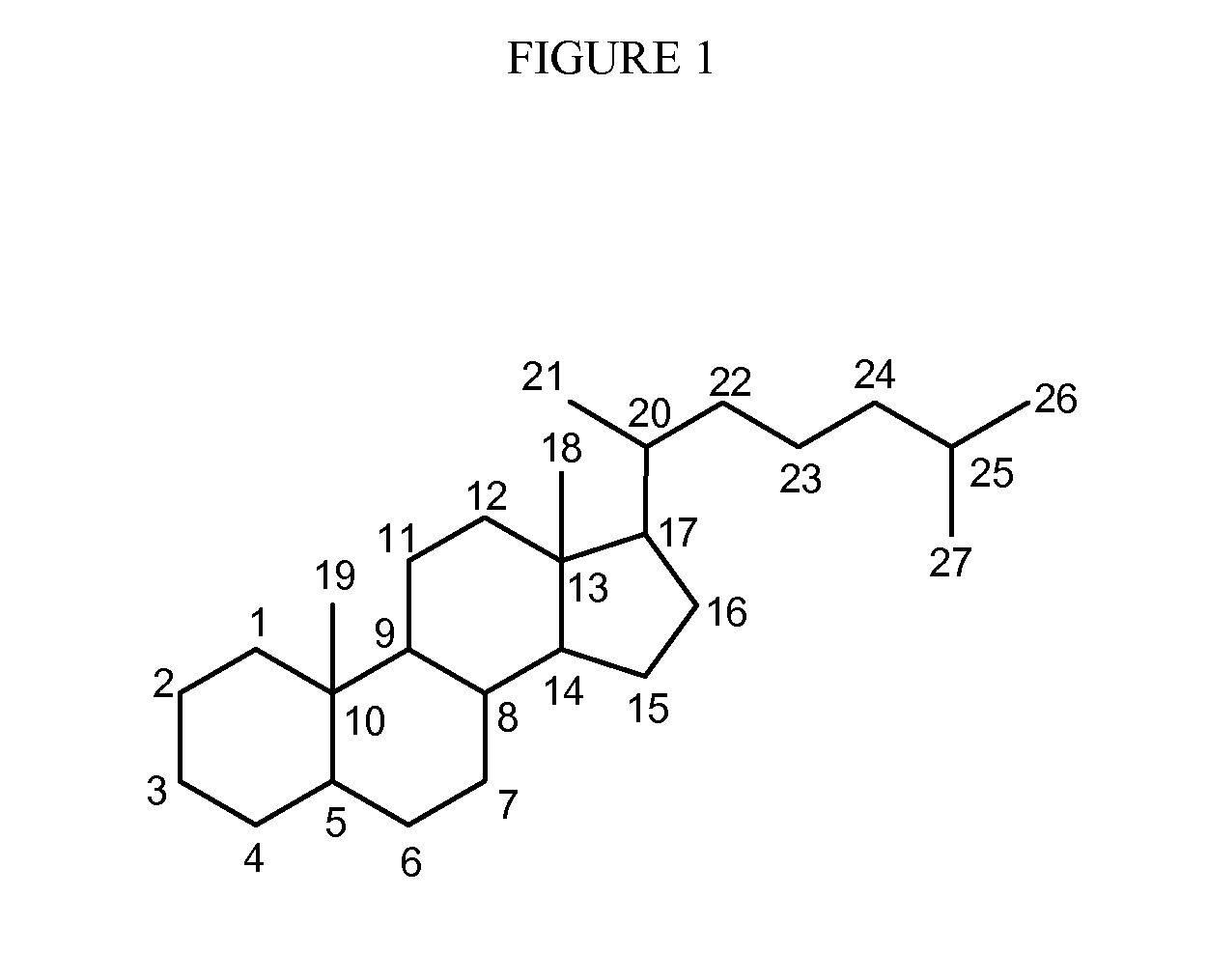 Synthetic bile acid compositions and methods