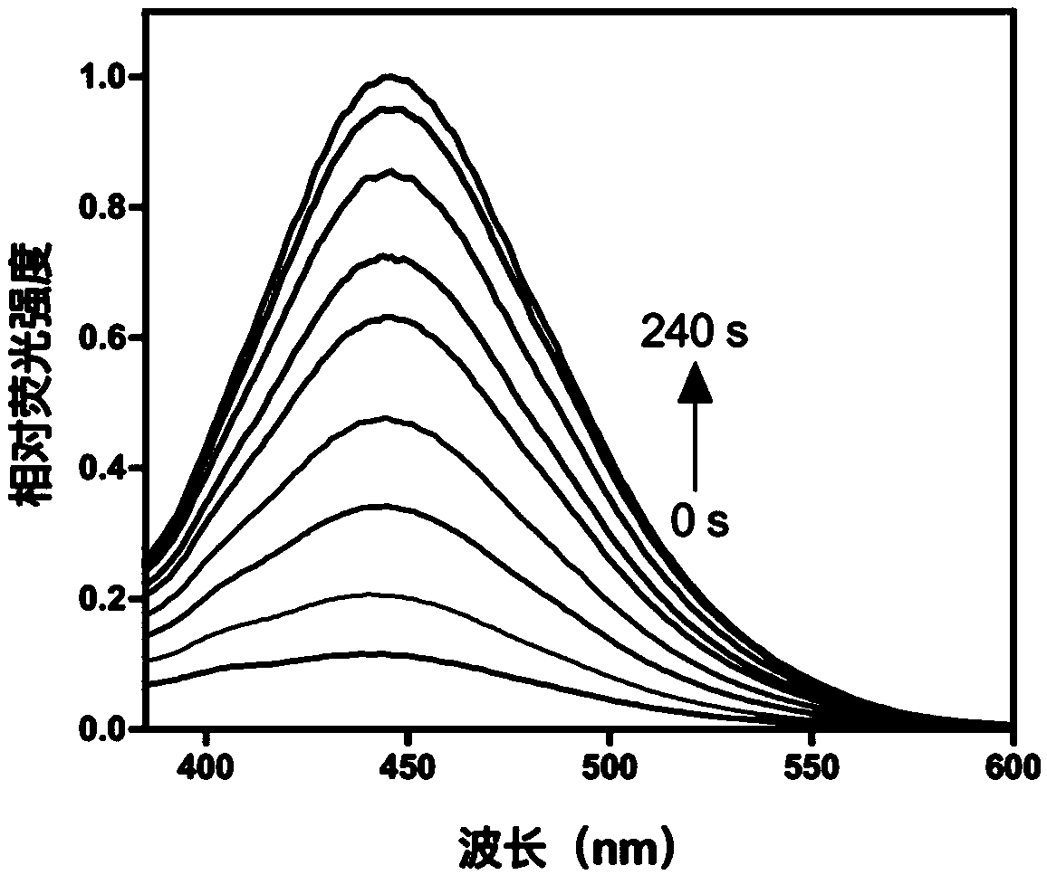 Visible light biocompatible reaction composition and application thereof