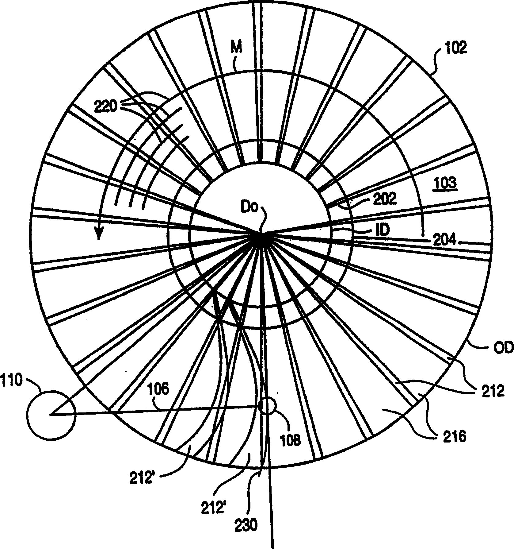 Apparatus and method for writing curve servo sector image