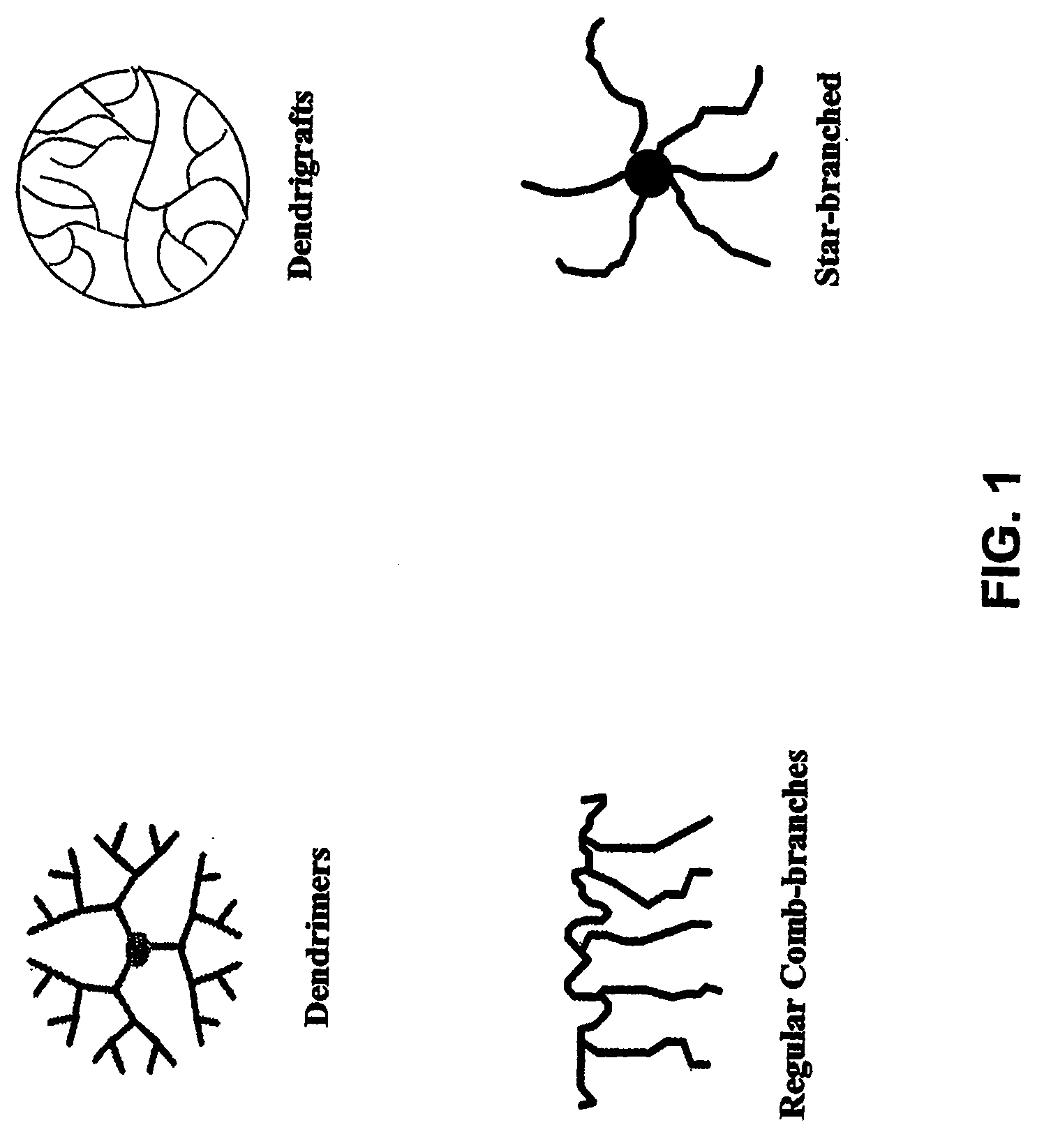 Symmetrically Branched Polymer Conjugates and Microarray Assays
