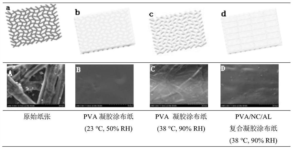 Method for improving water vapor barrier property of food packaging paper under high temperature and high humidity