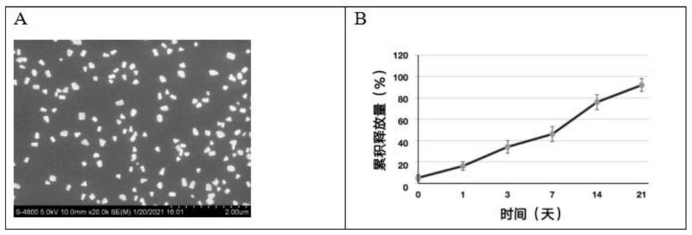 Nano-particle and gel for promoting dentin regeneration as well as preparation method and application of nano-particle and gel