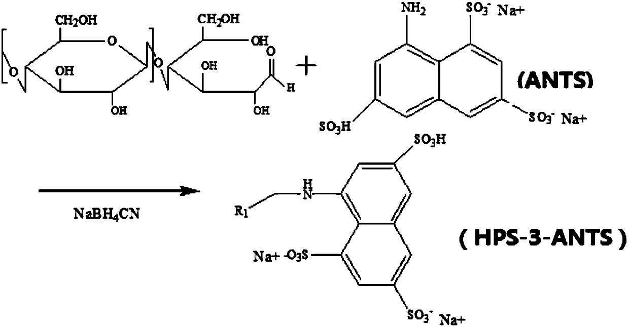 Method for using fluorescence to label hedysarum polybotrys saccharide and hedysarum polybotrys saccharide labeled through method and application of hedysarum polybotrys saccharide