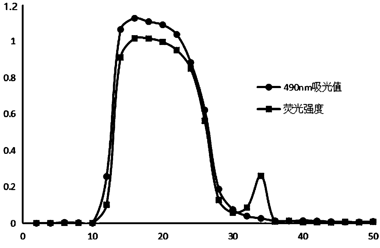 Method for using fluorescence to label hedysarum polybotrys saccharide and hedysarum polybotrys saccharide labeled through method and application of hedysarum polybotrys saccharide