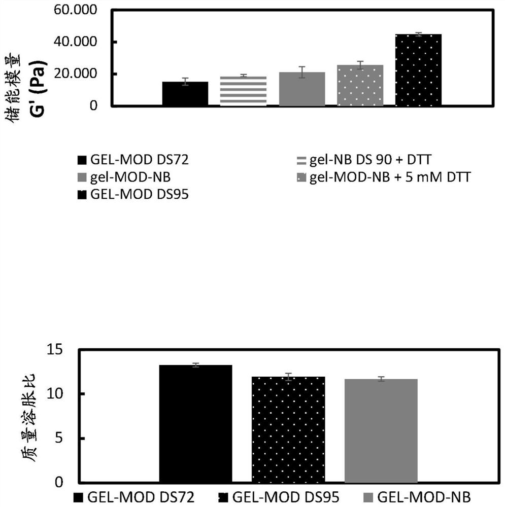 Bifunctional modified biopolymer based polymers and hydrogels obtainable from such bifunctional modified biopolymer based polymers