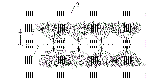 Static blasting and fracturing method for low-permeability shale gas reservoir exploitation