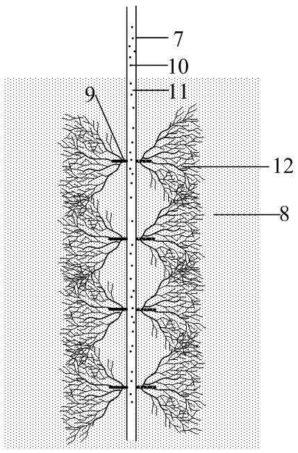 Static blasting and fracturing method for low-permeability shale gas reservoir exploitation