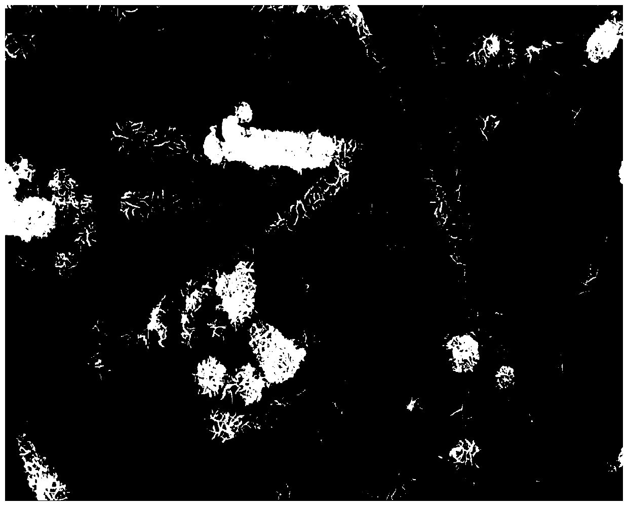 A kind of iron copper oxide/copper-based electrode material and preparation method thereof