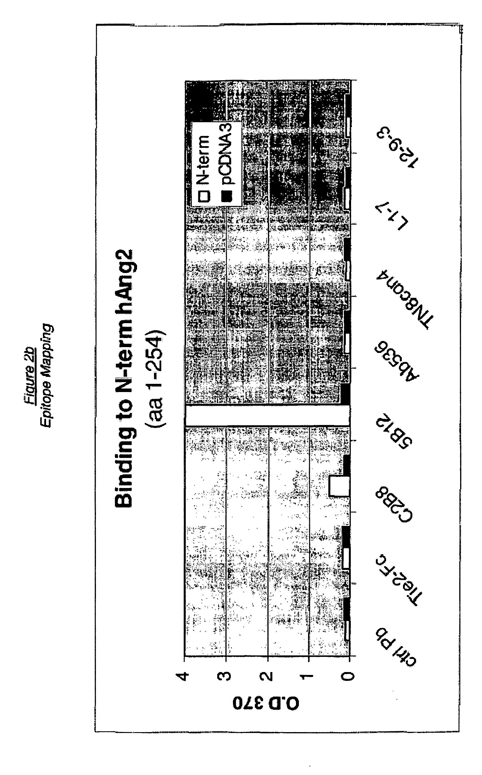 Angiopoietin-2 specific binding agents