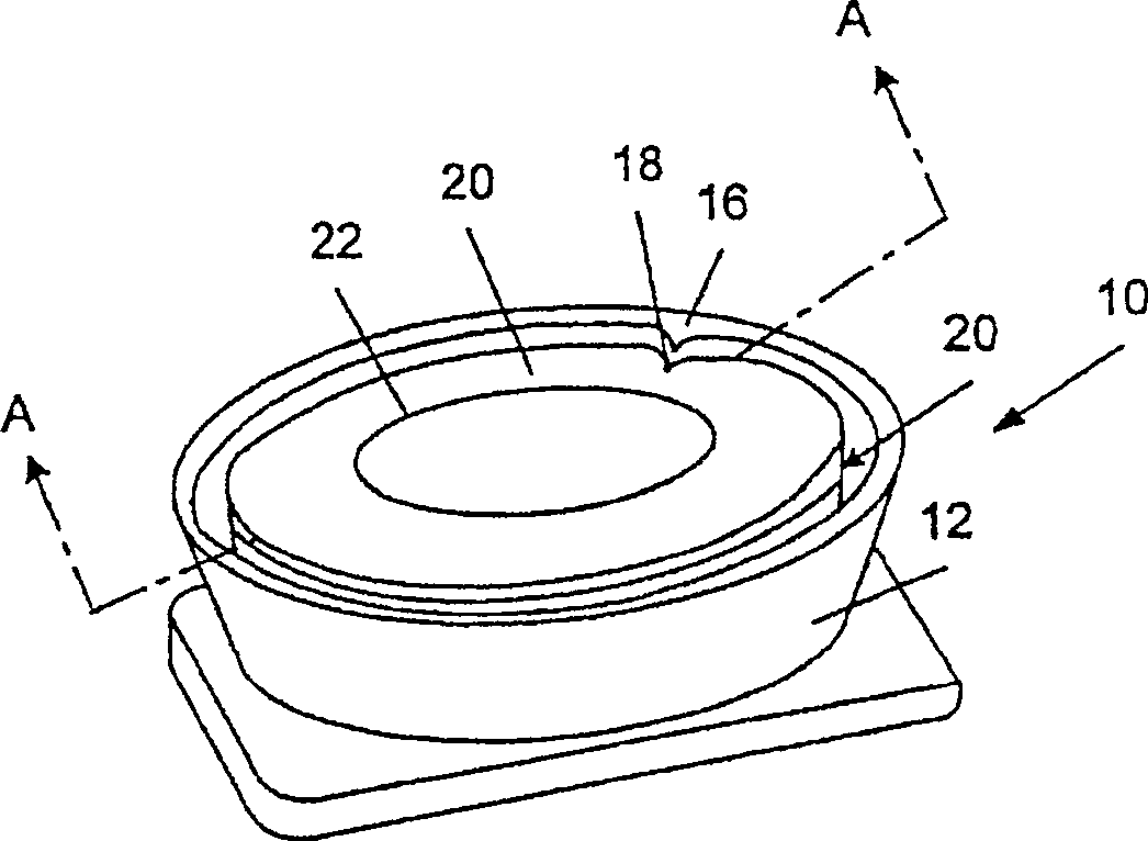 Wafer storage container, storage device and method of storing wafer