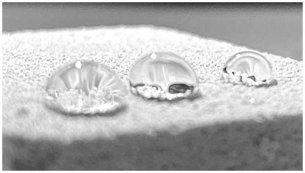 A kind of superhydrophobic geopolymer prepared by microcellular foaming and preparation method thereof