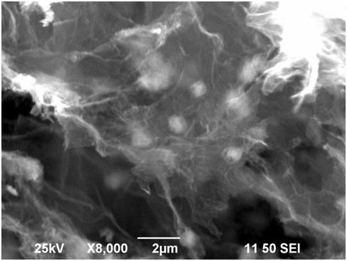 Preparation method of zinc stannate nanocube/graphene aerogel sunlight catalyst for degrading ciprofloxacin hydrochloride wastewater