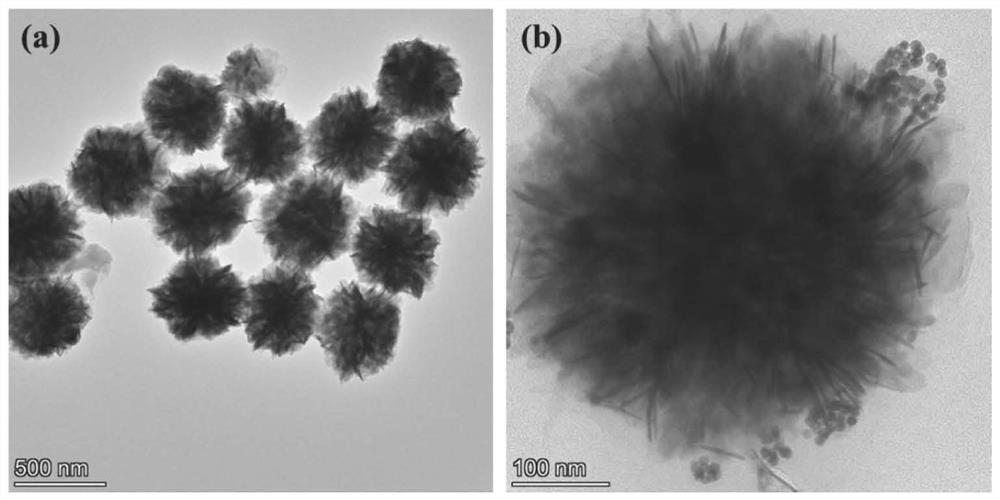 Preparation method and application of Au NPs coated WP5/BiOBr composite material