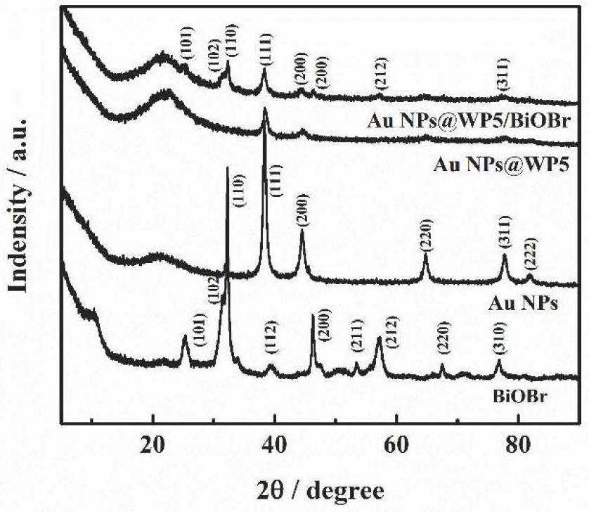 Preparation method and application of Au NPs coated WP5/BiOBr composite material