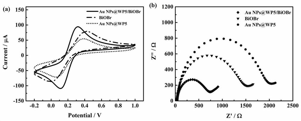 Preparation method and application of Au NPs coated WP5/BiOBr composite material