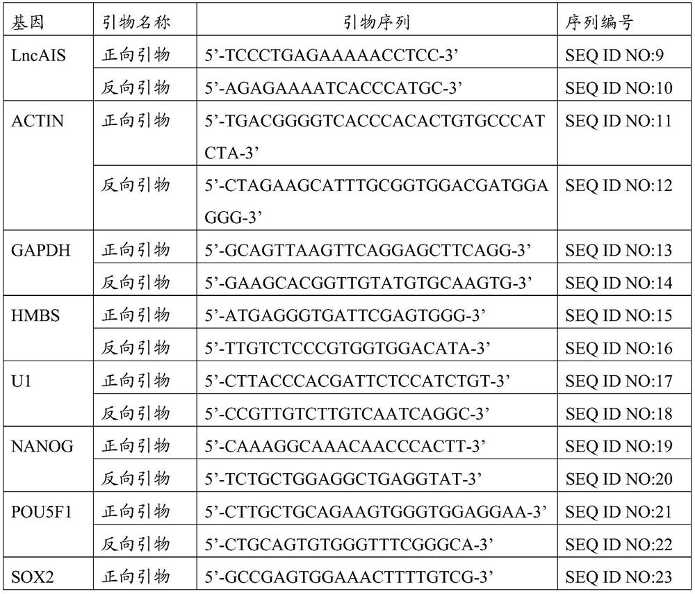 Application of hoxd8 in the preparation of products promoting osteogenic differentiation of bone marrow mesenchymal stem cells