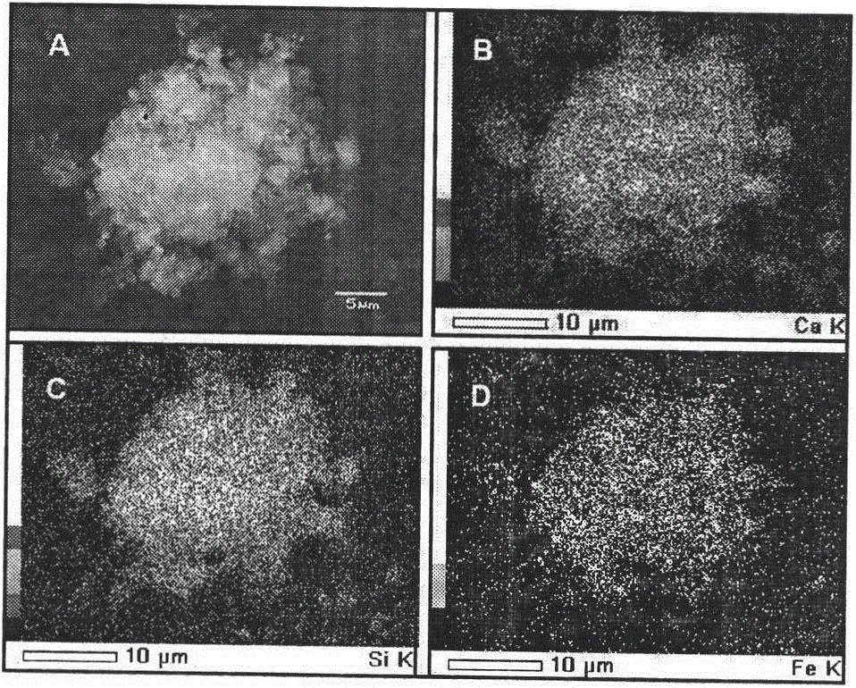 A kind of preparation method of magnetic uranium adsorbent