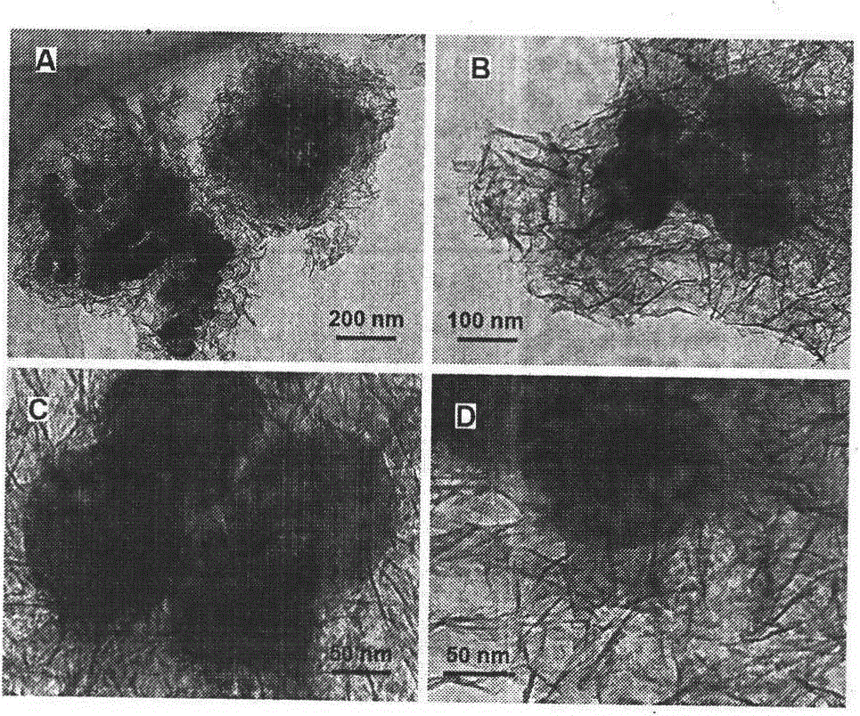 A kind of preparation method of magnetic uranium adsorbent