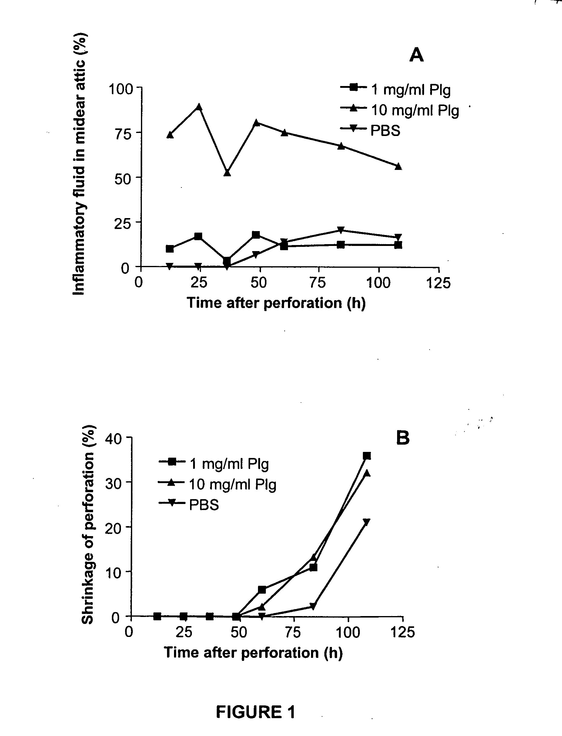 Method of promoting healing of a tympanic membrane perforation