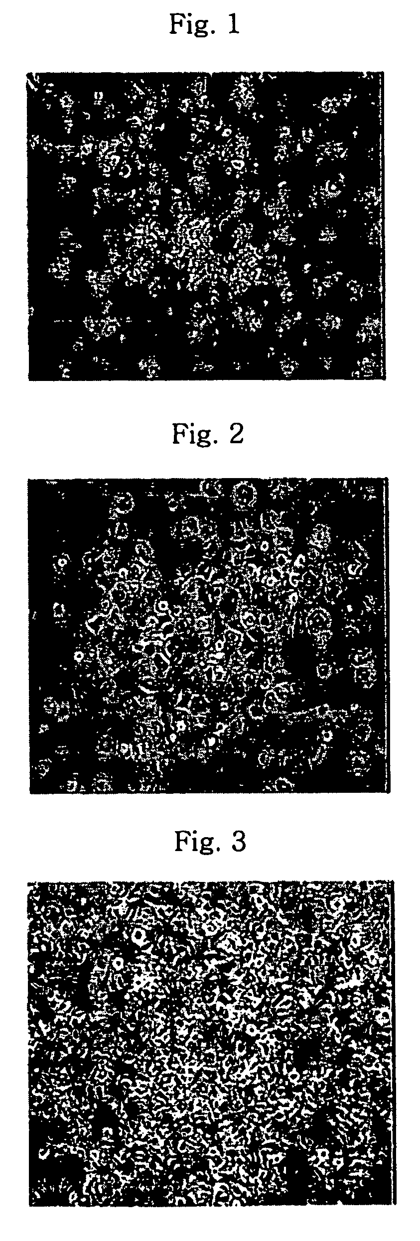 Method of isolating and culturing mesenchymal stem cell derived from cryopreserved umbilical cord blood