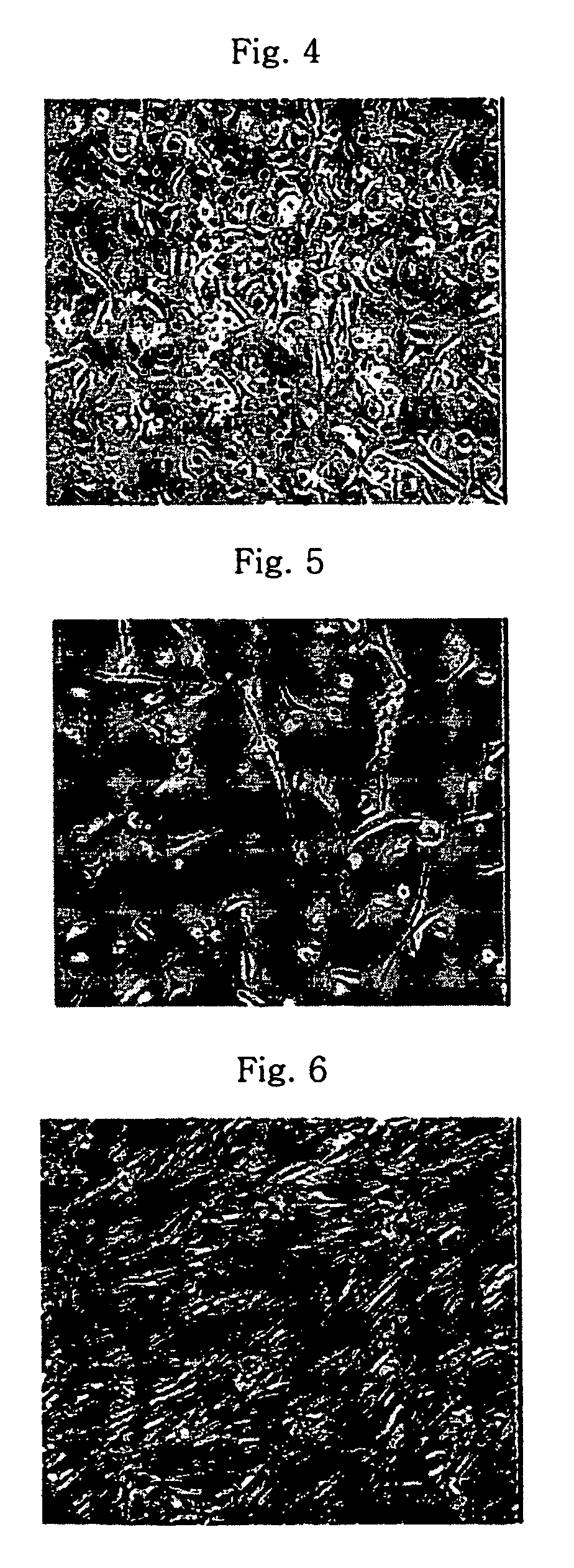 Method of isolating and culturing mesenchymal stem cell derived from cryopreserved umbilical cord blood