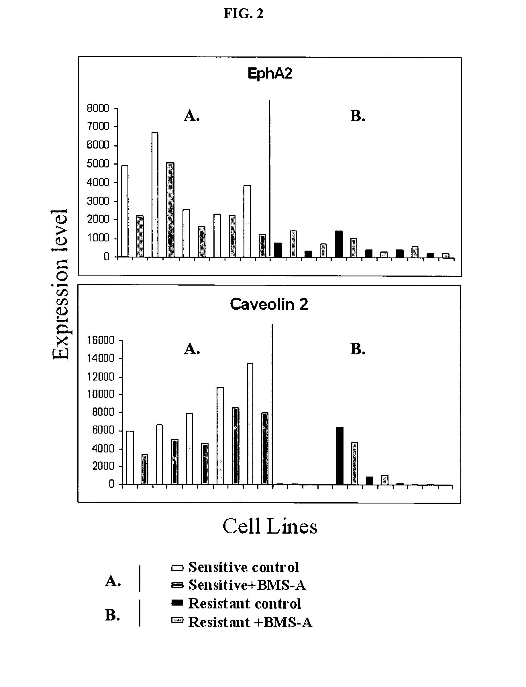 Identification of polynucleotides for predicting activity of compounds that interact with and/or modulate protein tyrosine kinases and/or protein tyrosine kinase pathways in breast cells