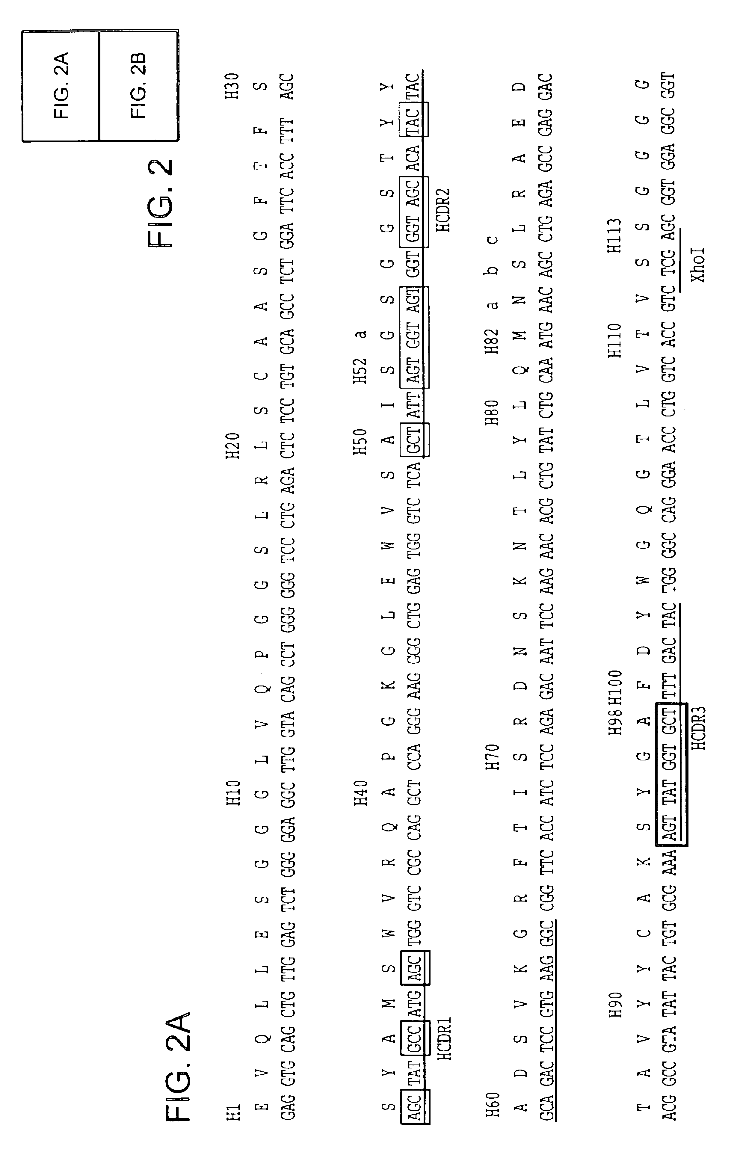 Method to screen phage display libraries with different ligands