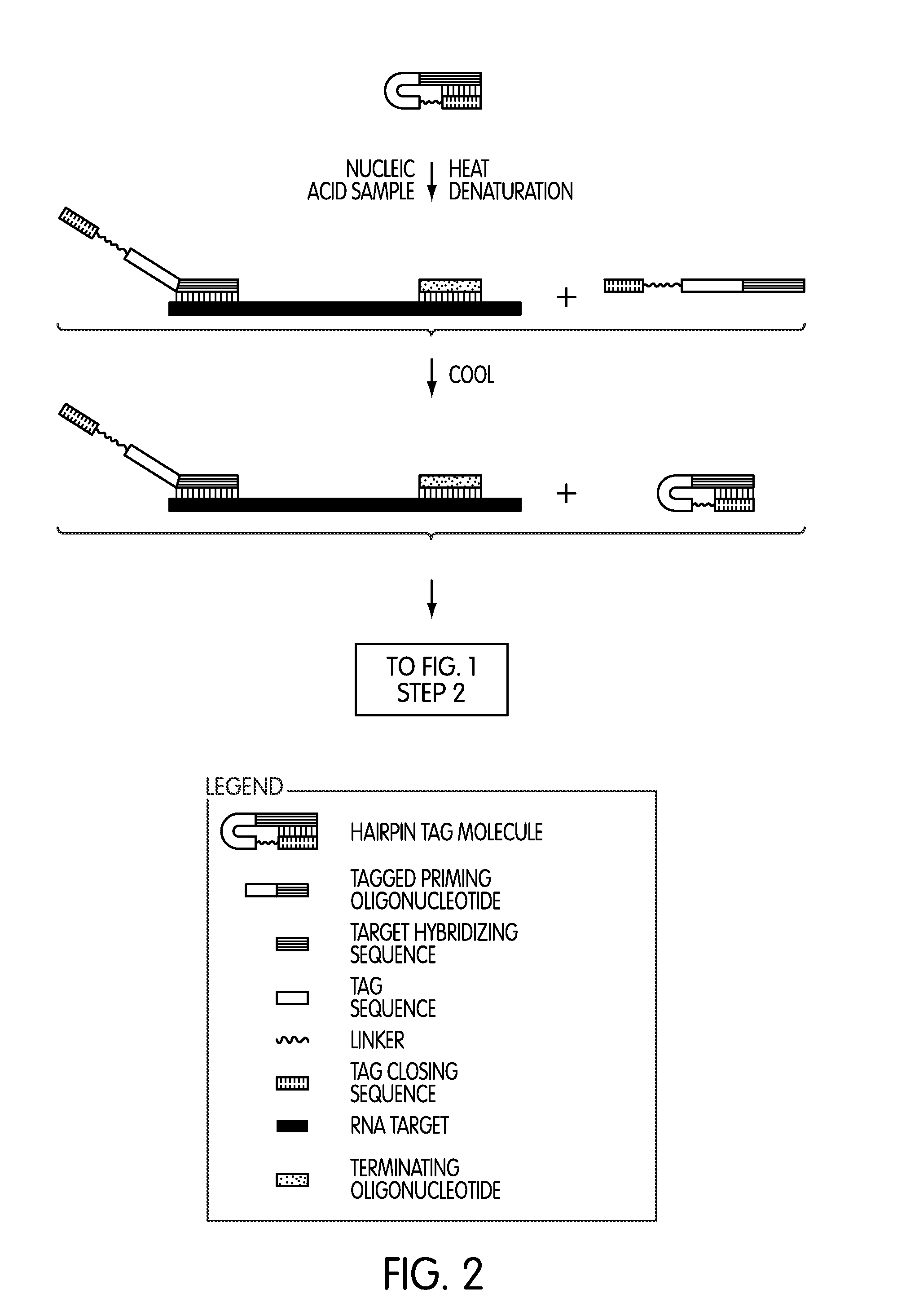 Tagged oligonucleotides and their use in nucleic acid amplification methods