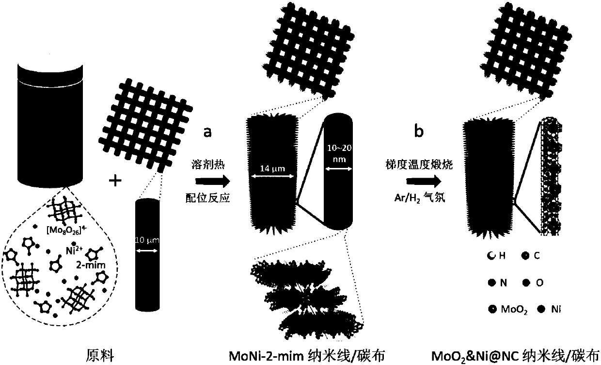 Nitrogen-doped carbon-coated Ni&MoO2 ultrafine nanowire and preparation method and application thereof