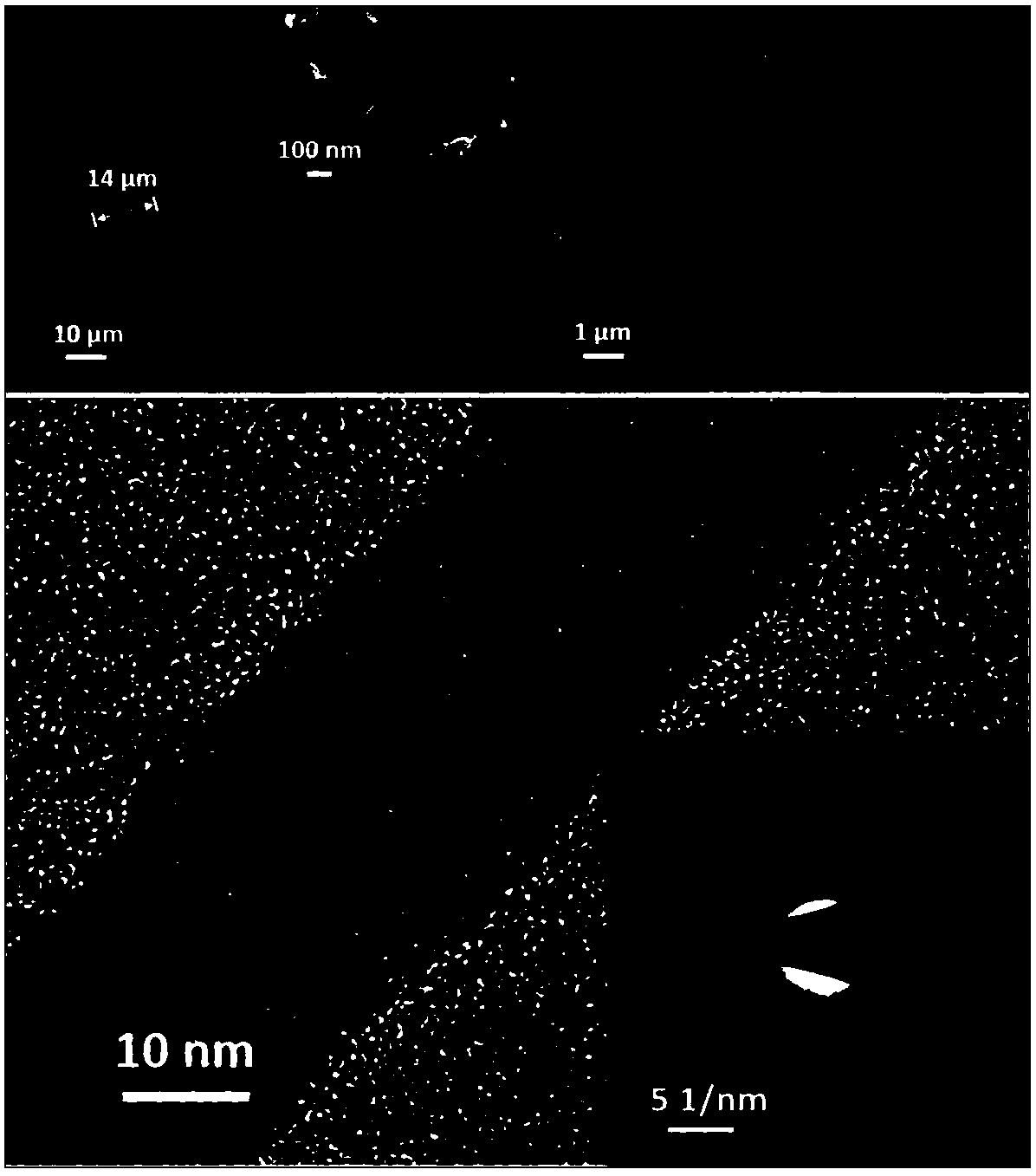 Nitrogen-doped carbon-coated Ni&MoO2 ultrafine nanowire and preparation method and application thereof