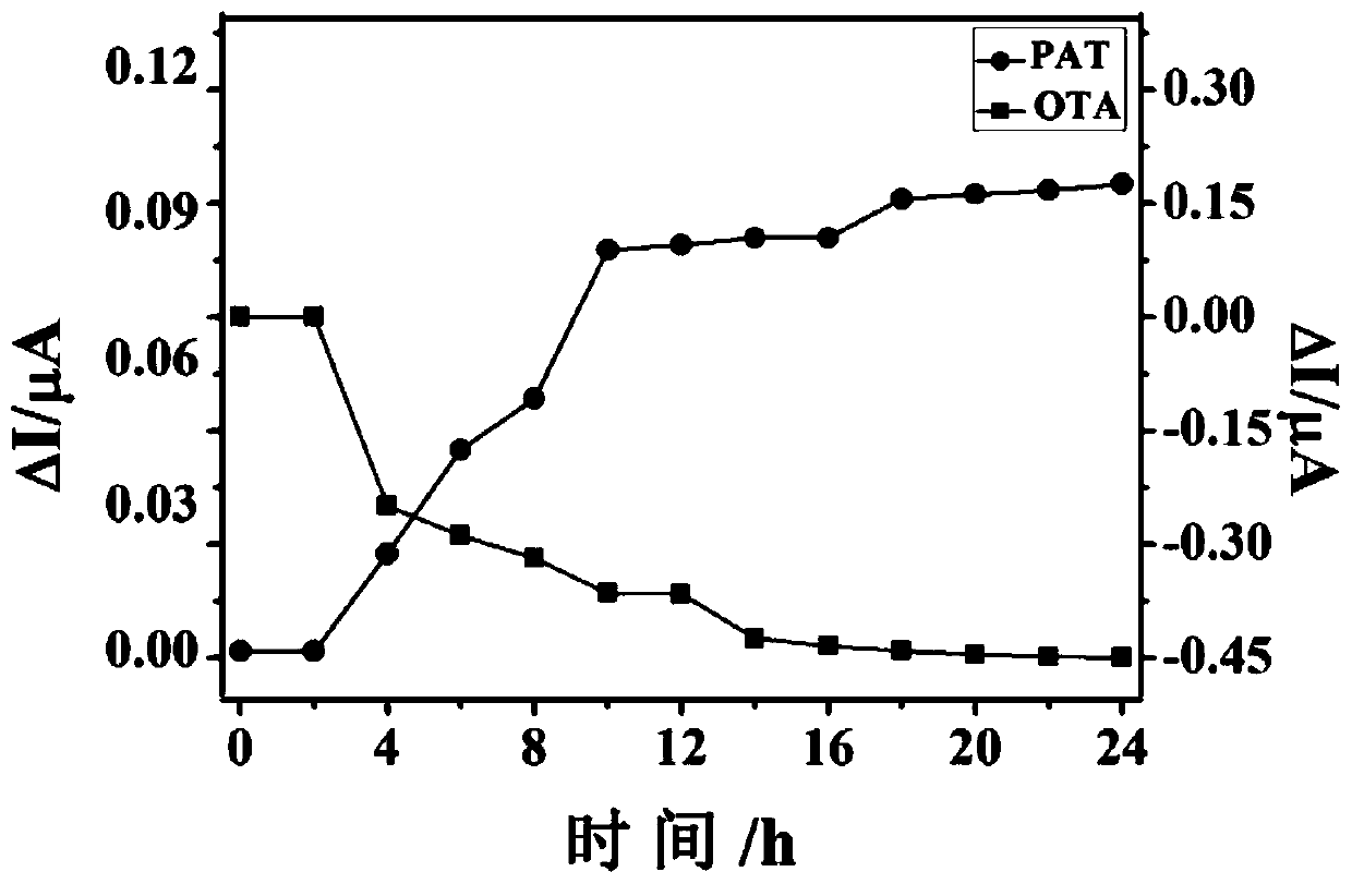 Electrochemical sensor for simultaneously detecting PAT and OTA, preparation method and detection method