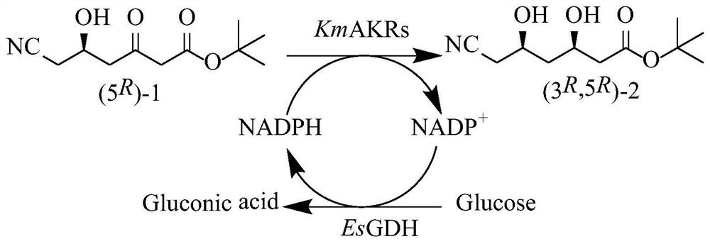 Aldehyde ketone reductase KmAKR mutant and application thereof in catalytic synthesis of chiral alcohol
