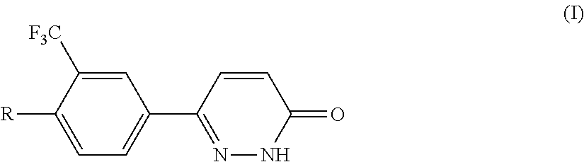 Pyridazinones, the preparation and the use thereof