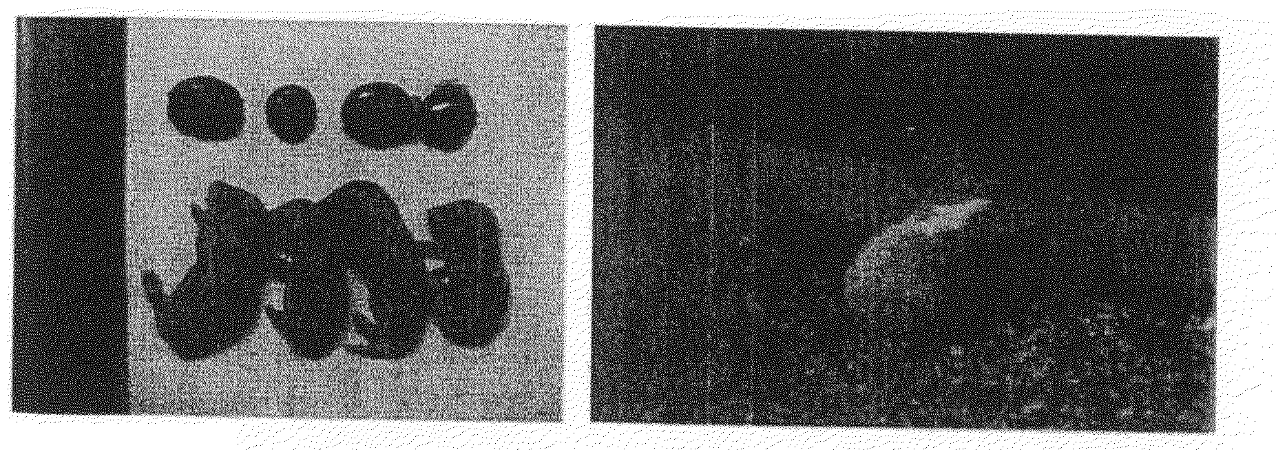 Method for Producing Nuclear-Transplanted Egg