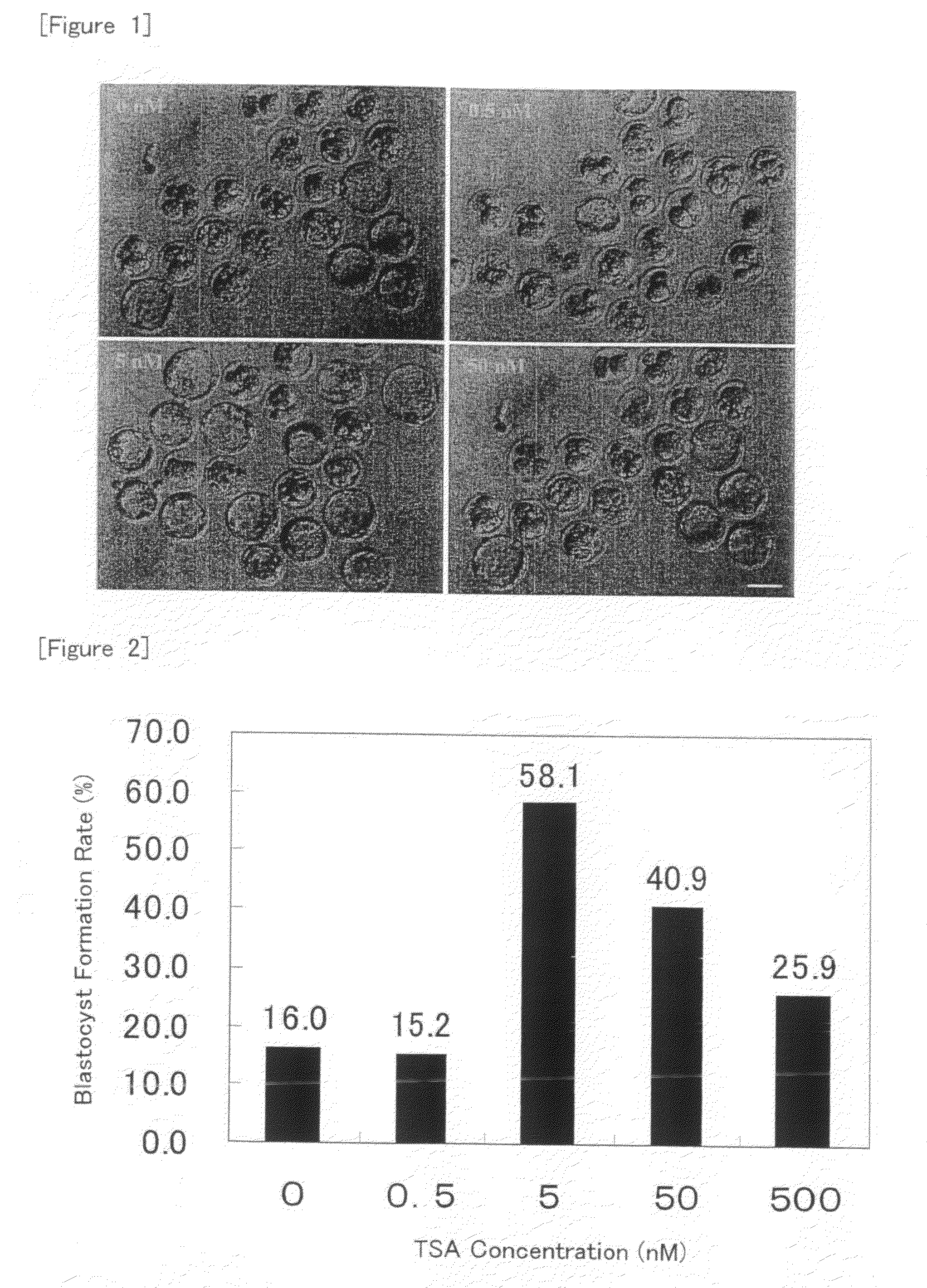 Method for Producing Nuclear-Transplanted Egg