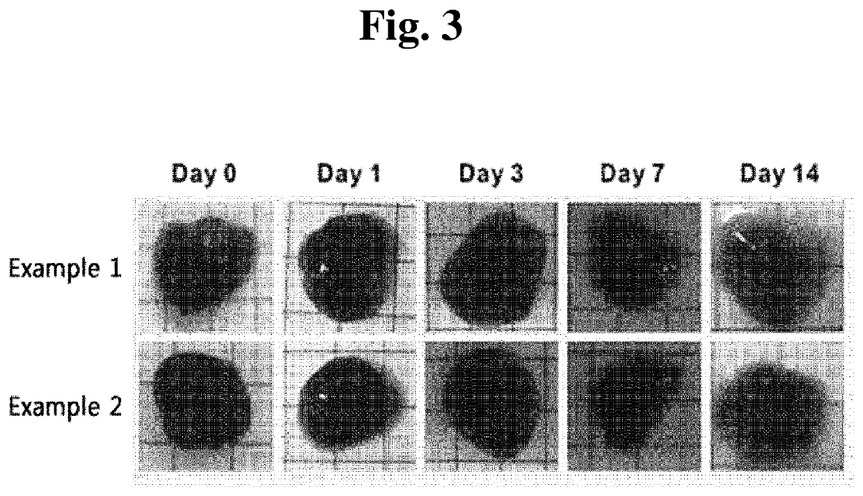 Phosphazene-based polymer for tissue adhesion, a method for preparing the same, and use thereof
