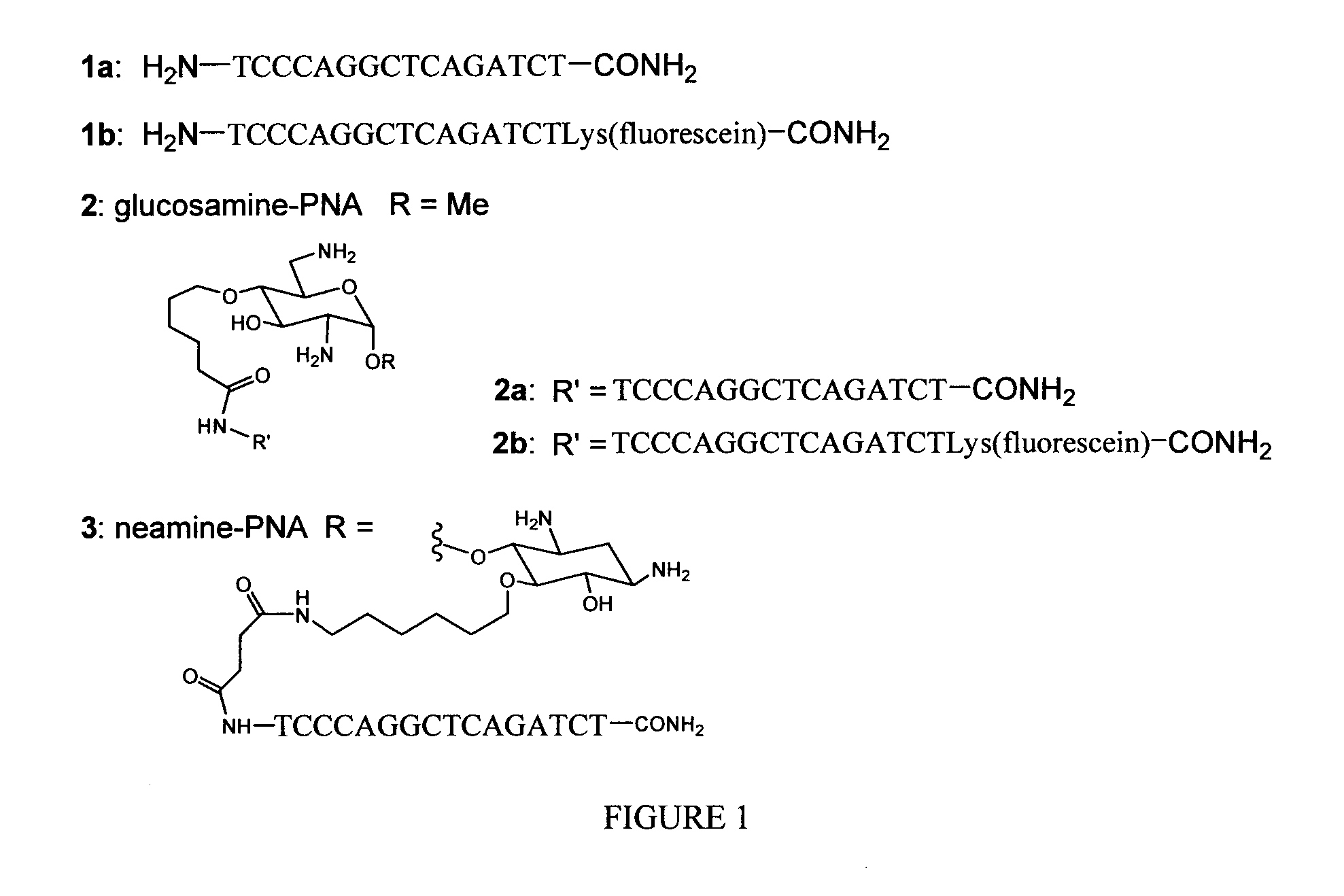 Preparation of pna-6-aminoglucosamine conjugates as antiviral agents