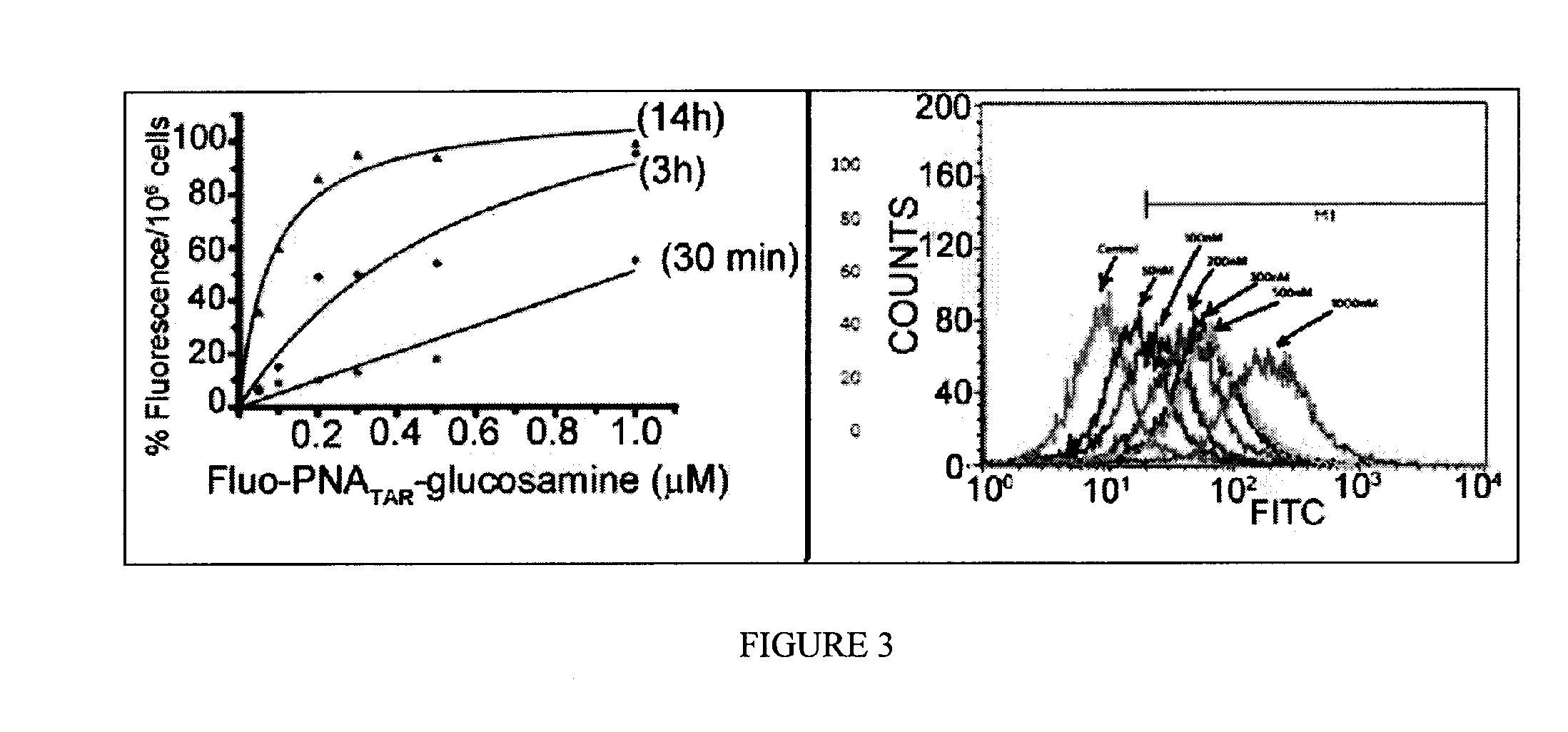 Preparation of pna-6-aminoglucosamine conjugates as antiviral agents