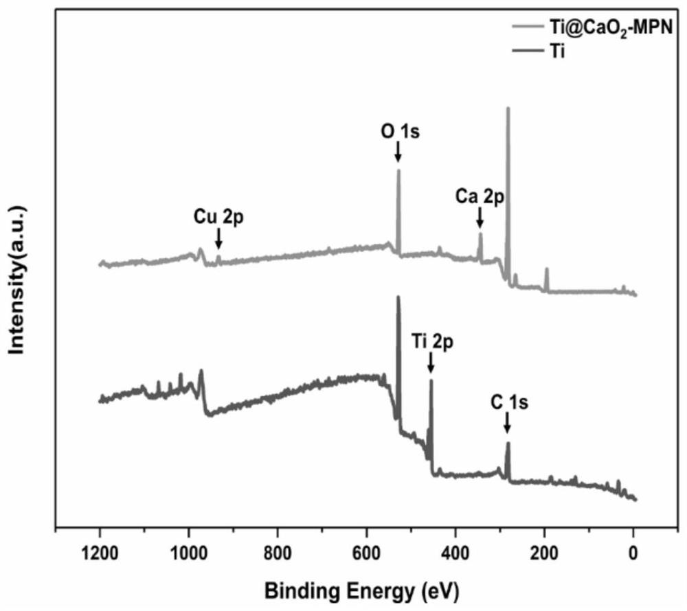 Implanted instrument nano coating as well as preparation method and application thereof