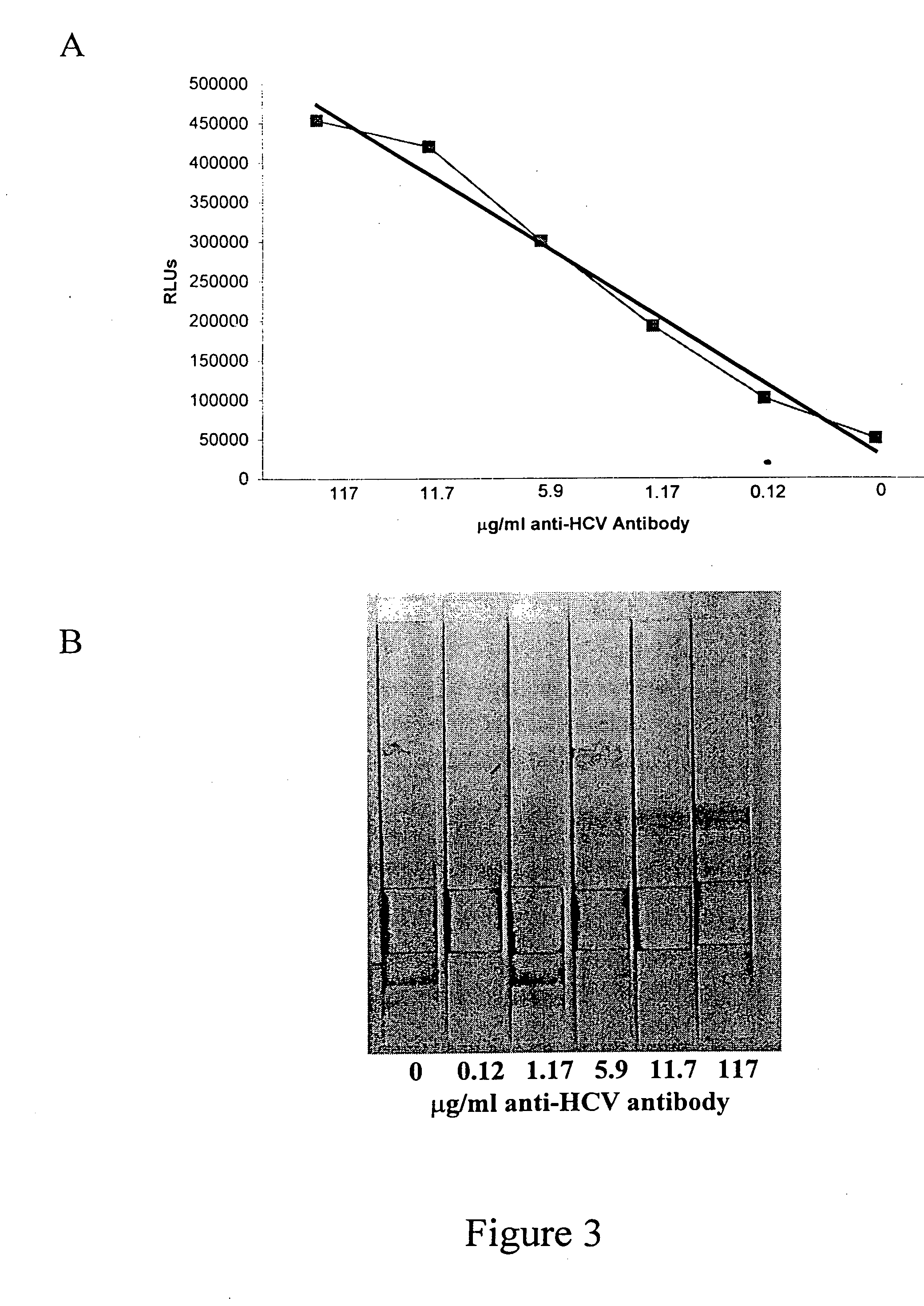 Oral fluid rapid assay for hepatitis C virus (HCV) antibodies using non-antibody labeling of IgA molecules recognizing HCV peptide epitopes