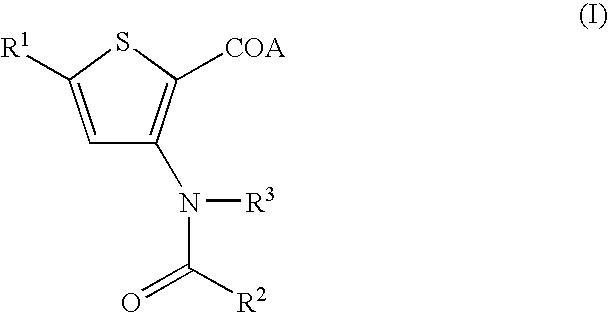Antiviral 2-Carboxy-Thiophene Compounds