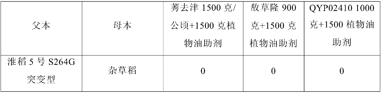 Mutation type PSII D1 or psbA D1 protein, and coding nucleic acid and application thereof