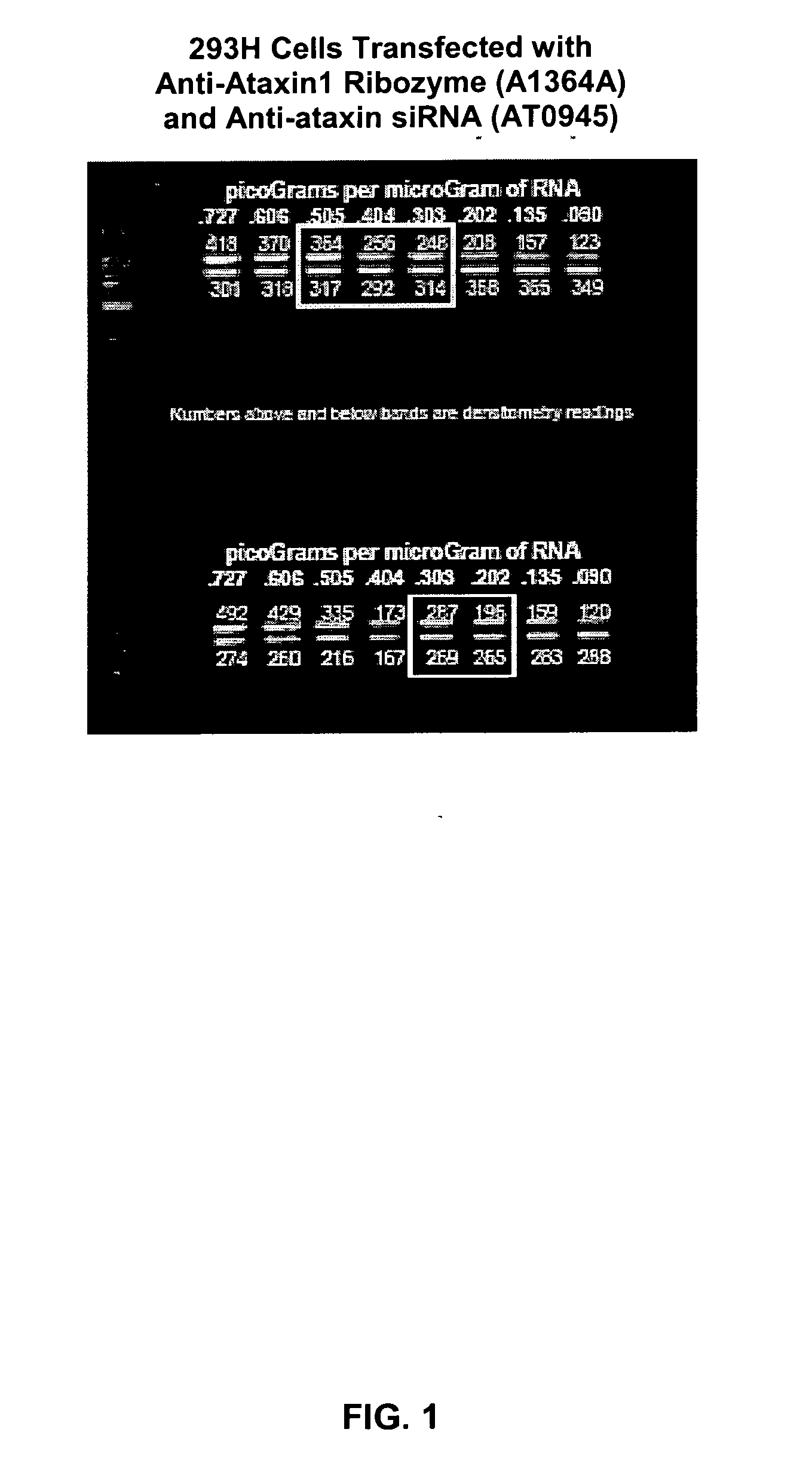 Compositions, devices and methods for treatment of huntington's disease through intracranial delivery of sirna