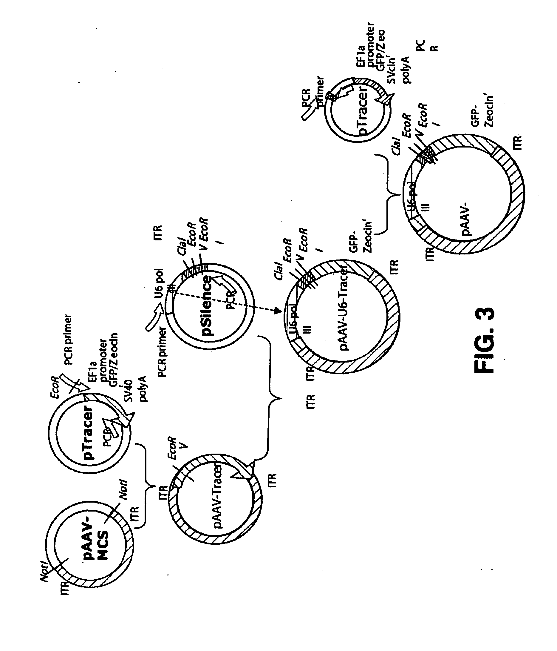 Compositions, devices and methods for treatment of huntington's disease through intracranial delivery of sirna