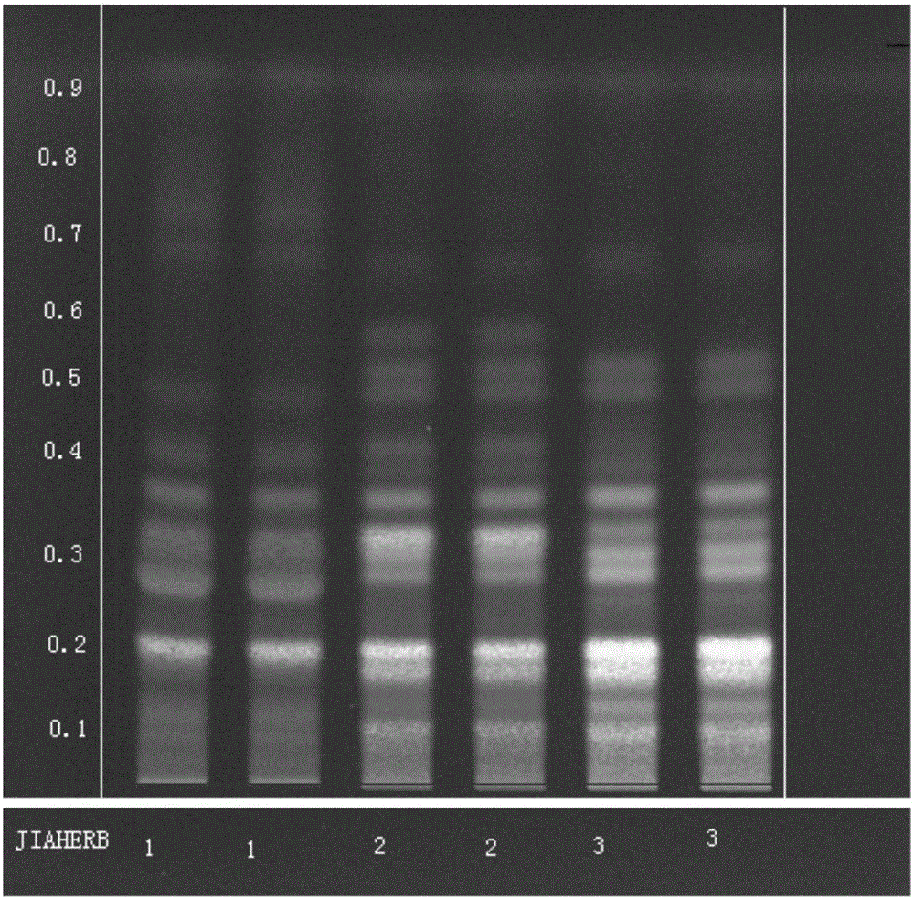 Thin layer identification method of rhamnus frangula bark and rhamnus purshiana bark